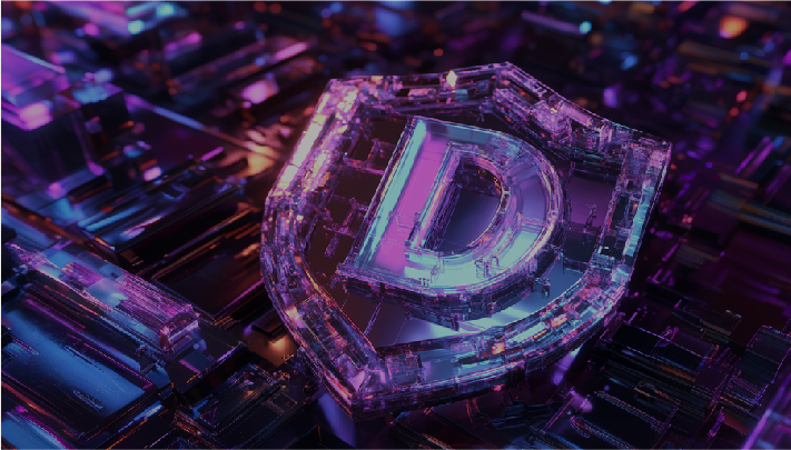 D-Data Security